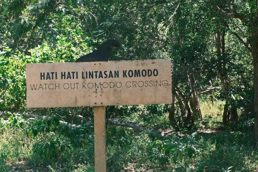 科莫多國家公園(Komodo National Park)的警告標示