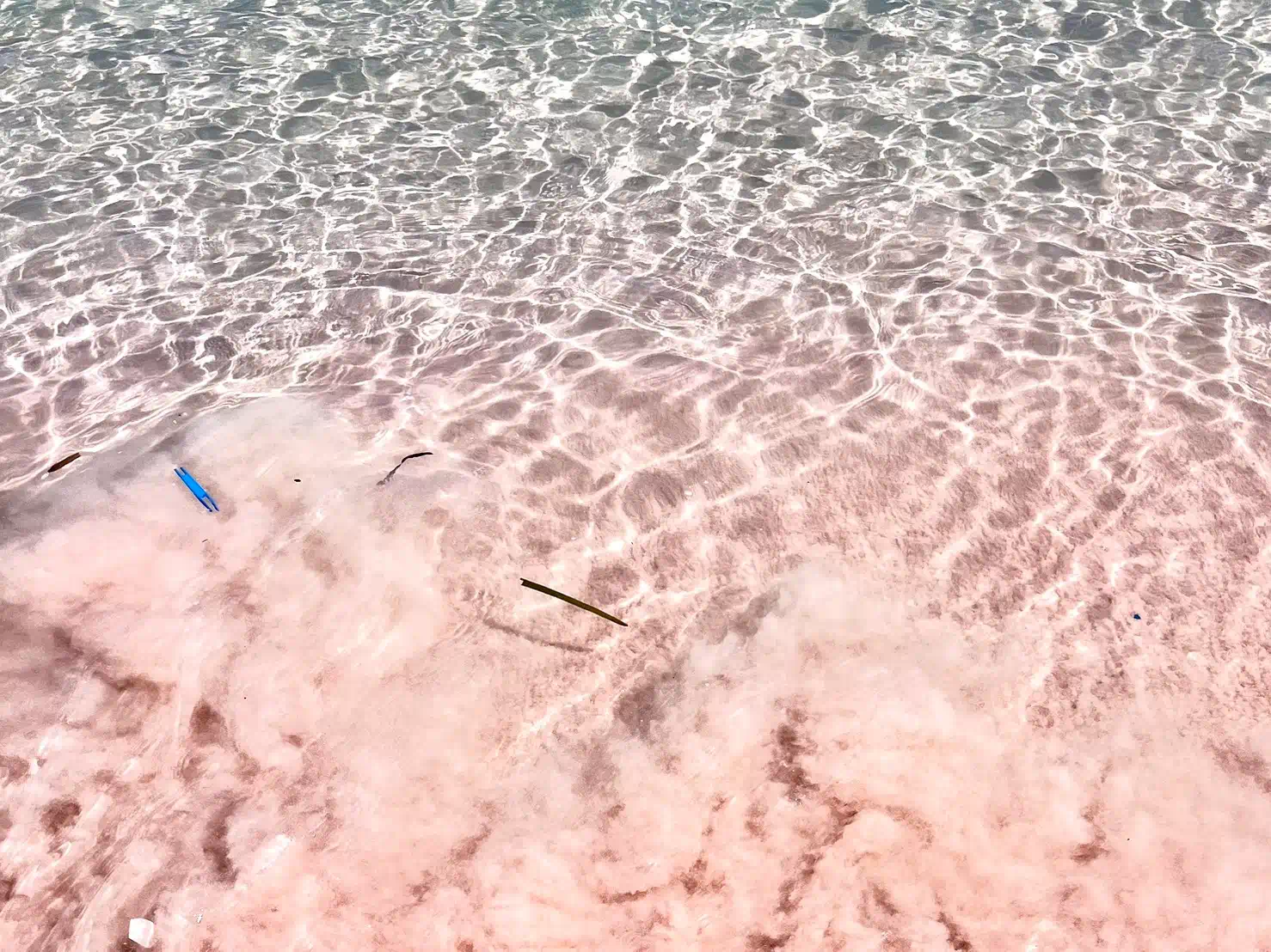 科莫多國家公園粉紅沙灘 (Pink Beach)漂浮一些垃圾